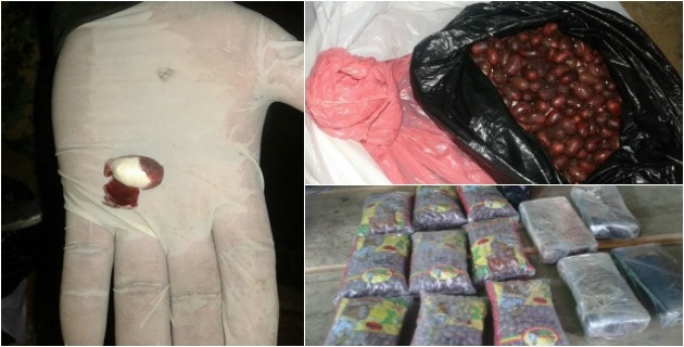 Capturan a colombiano con 7.015 frijoles llenos de cocaína